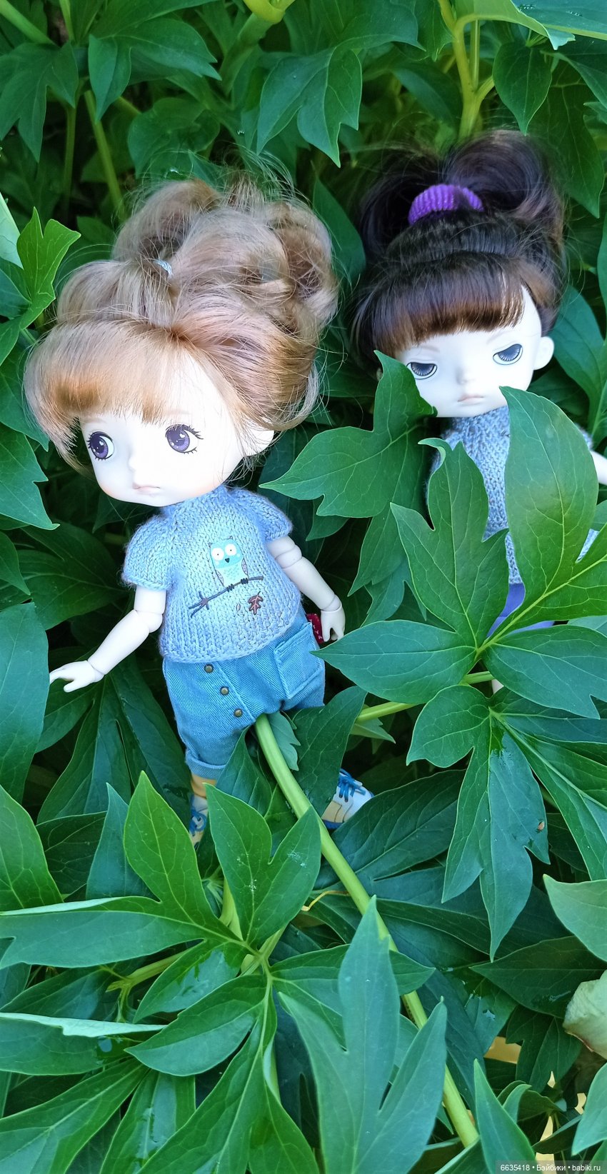 Летний сад глазами Майи и Жульки | Бэйбики Летний сад глазами Майи и Жульки (фото 7)