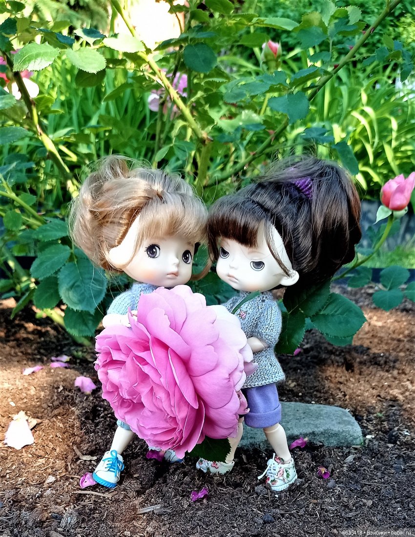 Летний сад глазами Майи и Жульки | Бэйбики Летний сад глазами Майи и Жульки