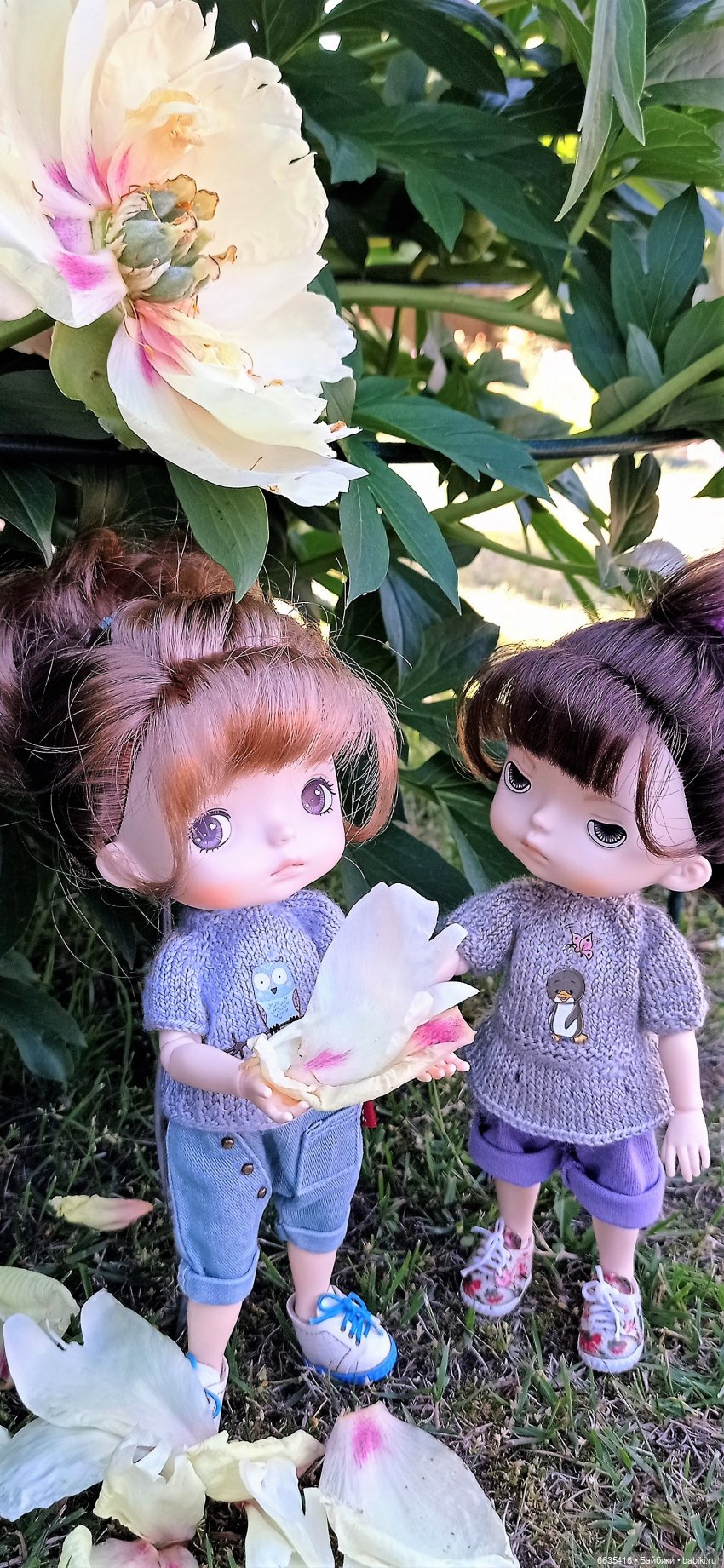 Летний сад глазами Майи и Жульки | Бэйбики Летний сад глазами Майи и Жульки (фото 5)