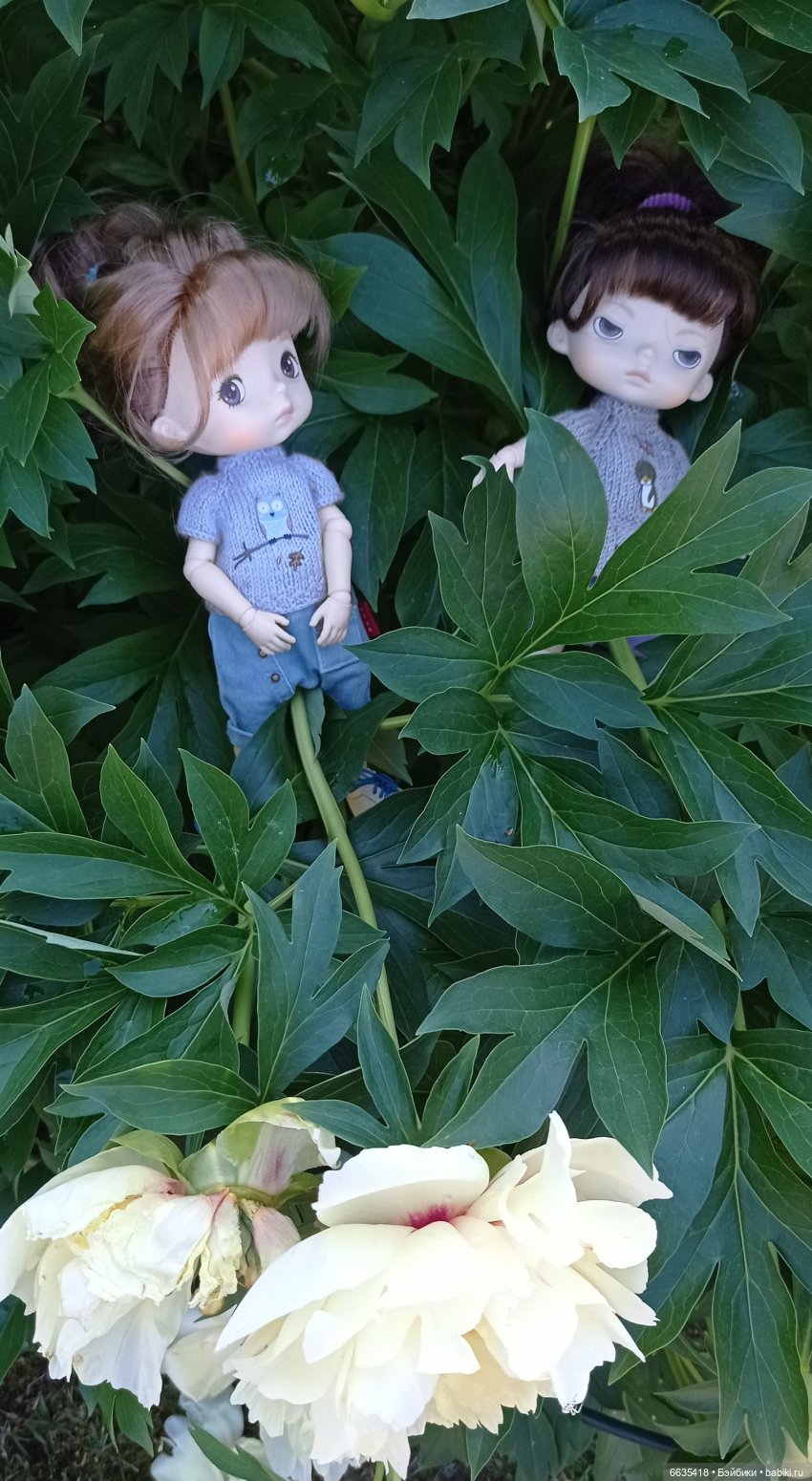 Летний сад глазами Майи и Жульки | Бэйбики Летний сад глазами Майи и Жульки (фото 6)