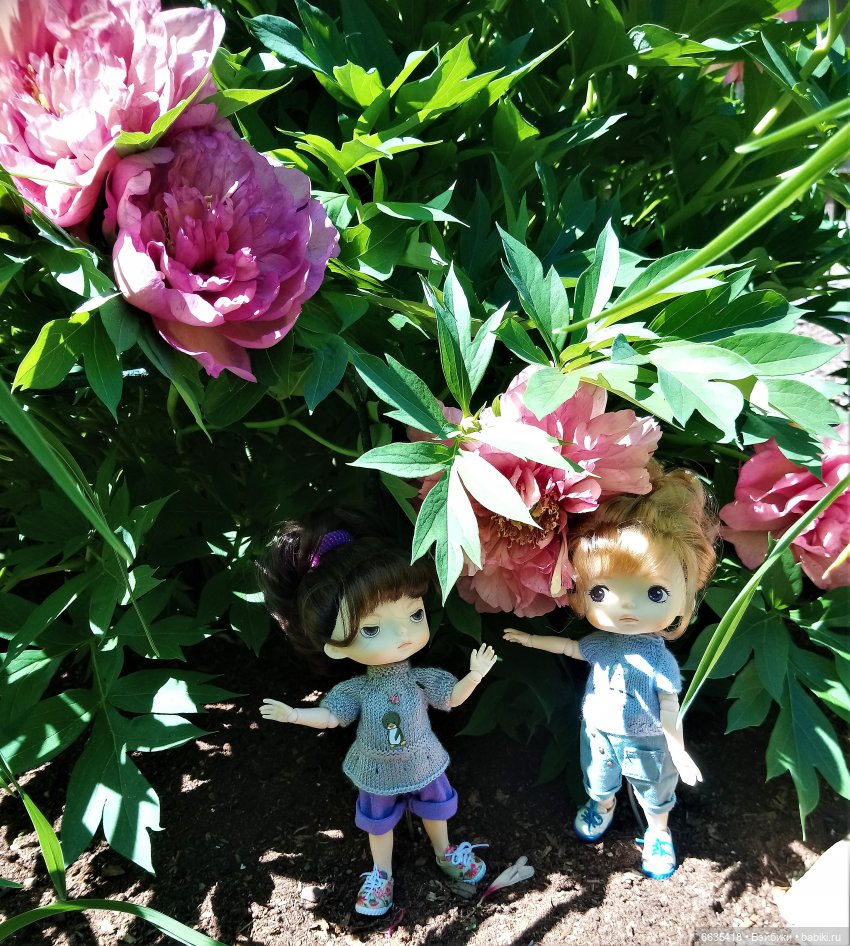 Летний сад глазами Майи и Жульки | Бэйбики Летний сад глазами Майи и Жульки (фото 2)