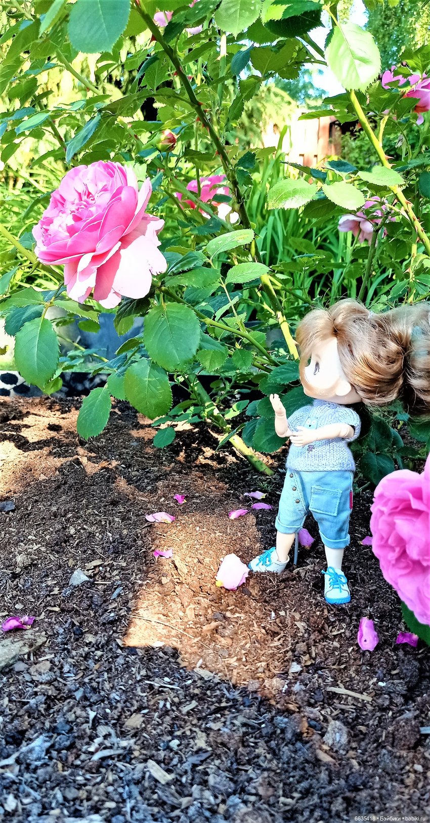 Летний сад глазами Майи и Жульки | Бэйбики Летний сад глазами Майи и Жульки
