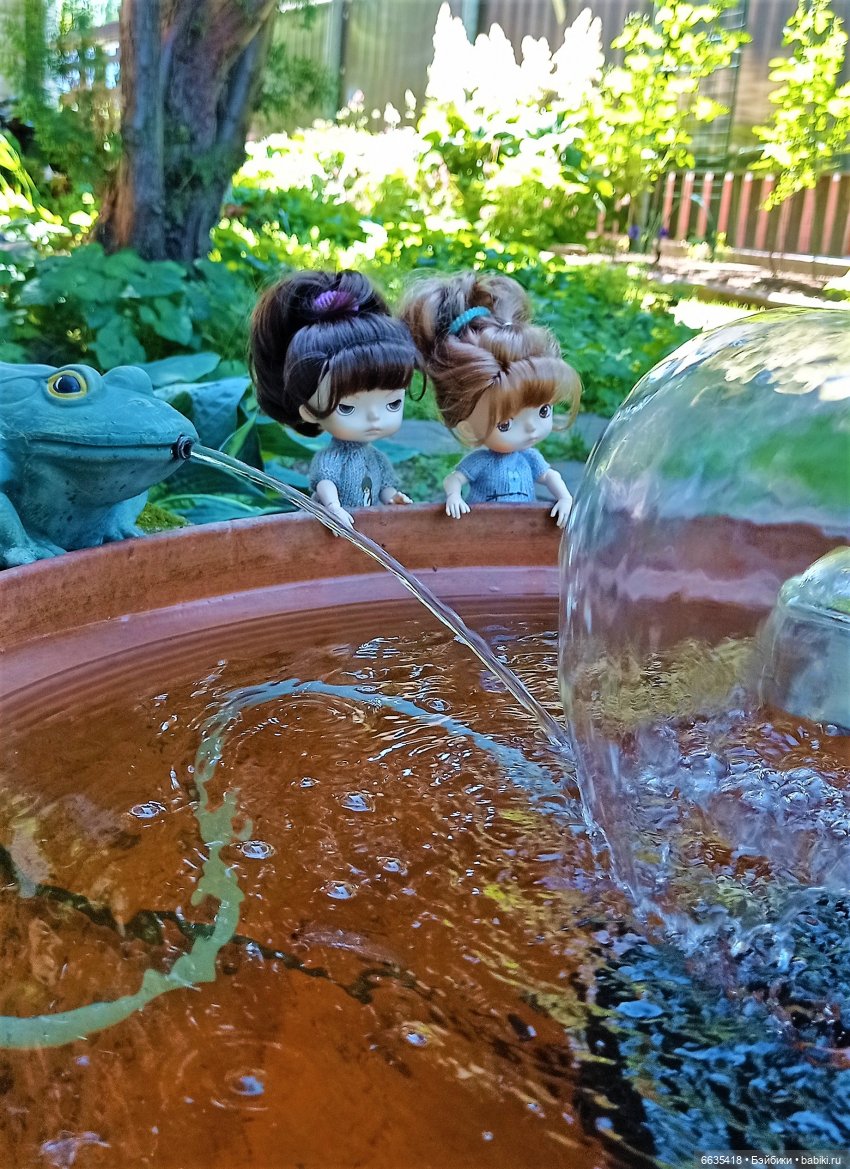 Летний сад глазами Майи и Жульки | Бэйбики Летний сад глазами Майи и Жульки