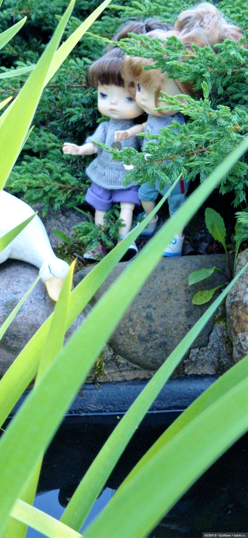 Летний сад глазами Майи и Жульки | Бэйбики Летний сад глазами Майи и Жульки