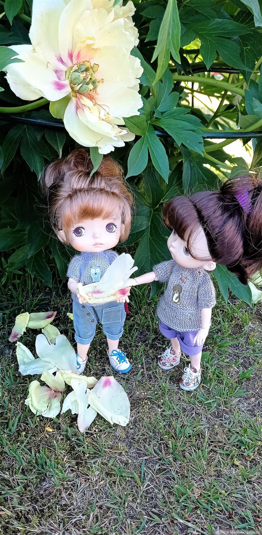 Летний сад глазами Майи и Жульки | Бэйбики Летний сад глазами Майи и Жульки (фото 4)