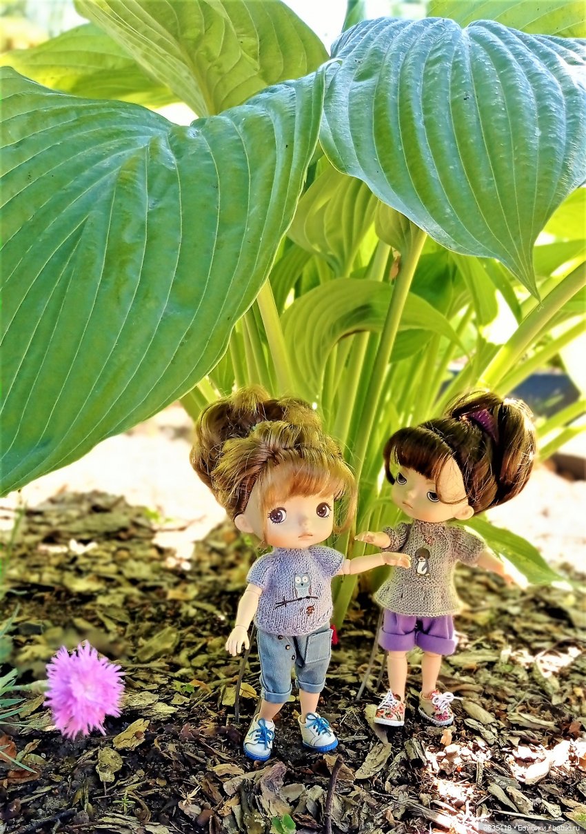 Летний сад глазами Майи и Жульки | Бэйбики Летний сад глазами Майи и Жульки