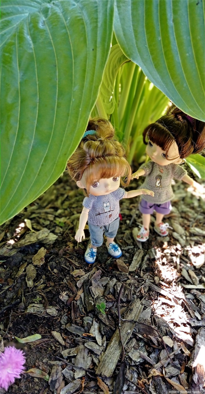 Летний сад глазами Майи и Жульки | Бэйбики Летний сад глазами Майи и Жульки