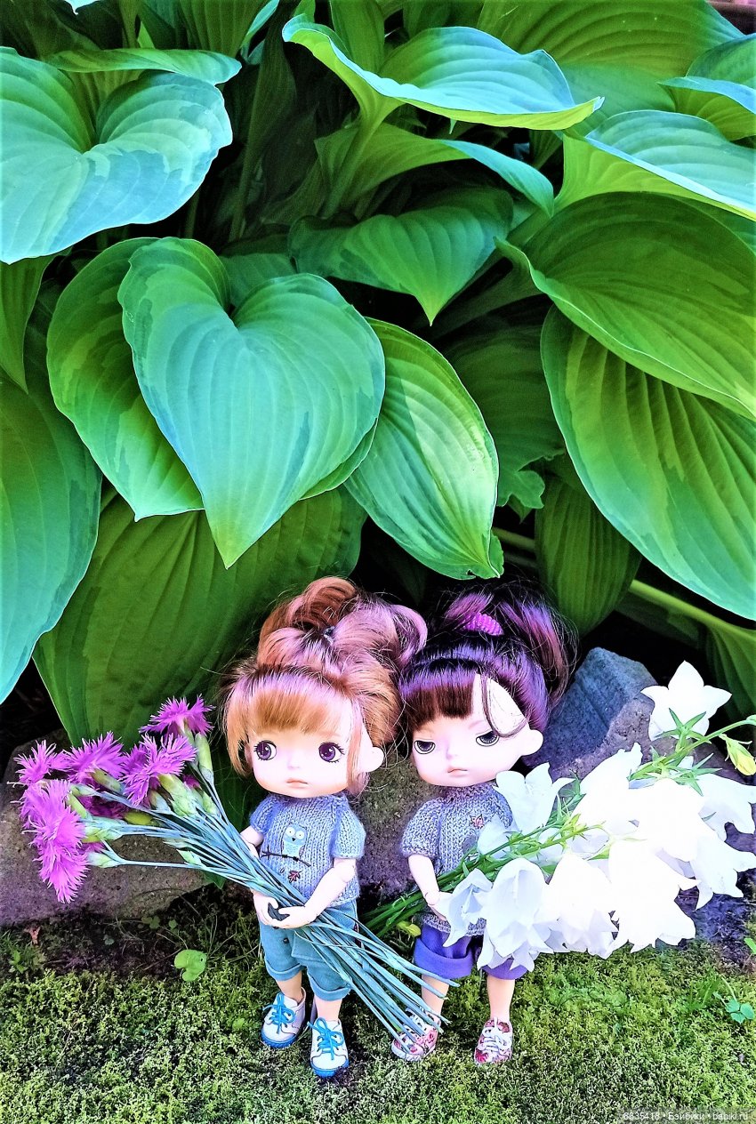 Летний сад глазами Майи и Жульки | Бэйбики Летний сад глазами Майи и Жульки