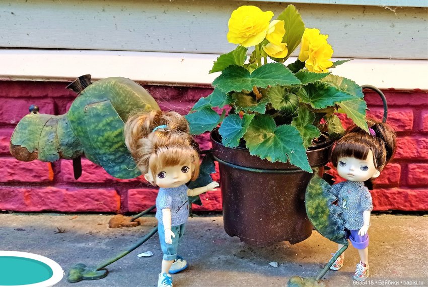 Летний сад глазами Майи и Жульки | Бэйбики Летний сад глазами Майи и Жульки