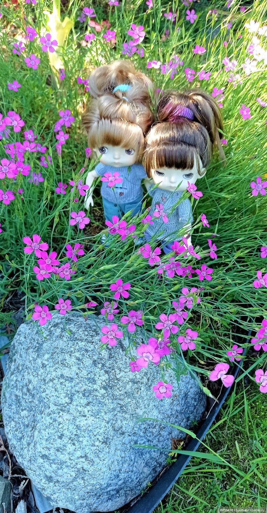 Летний сад глазами Майи и Жульки | Бэйбики Летний сад глазами Майи и Жульки (фото 10)