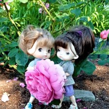 Летний сад глазами Майи и Жульки