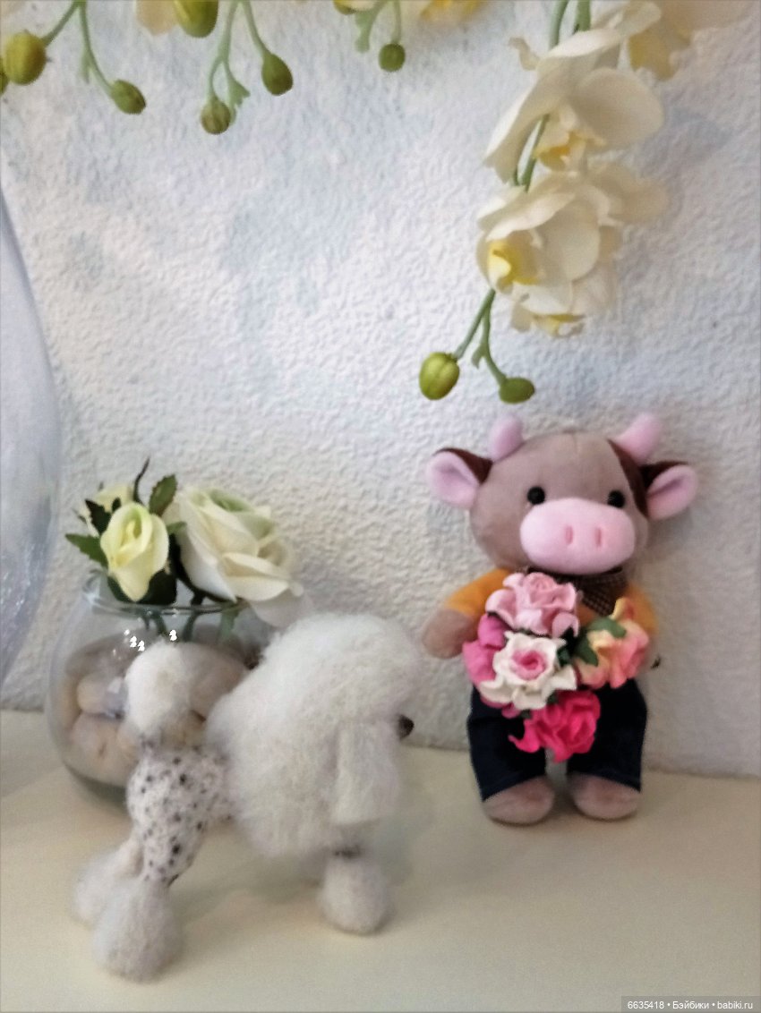 Важное событие в жизни моих кукол | Бэйбики Важное событие в жизни моих кукол (фото 3)