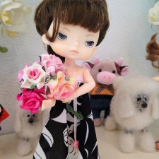 Важное событие в жизни моих кукол