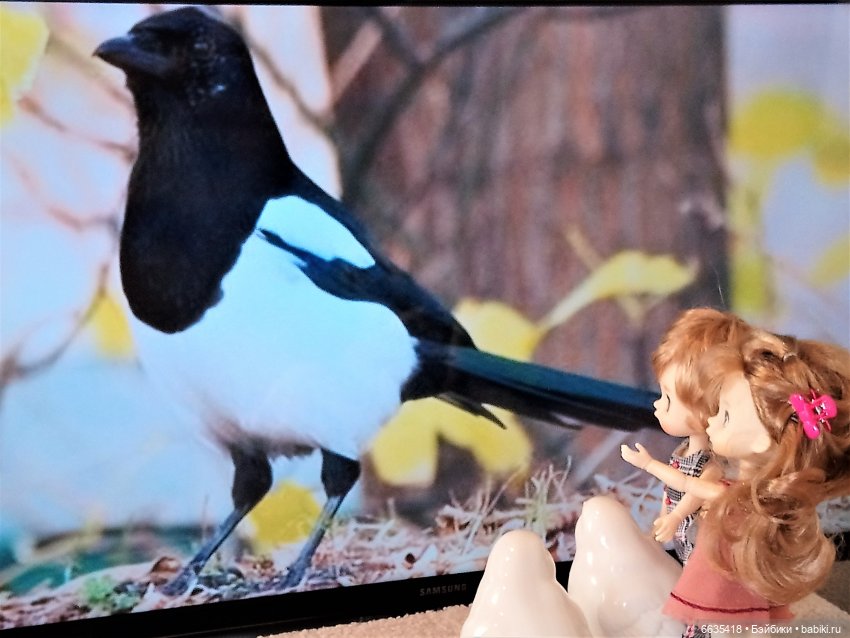 Поговорим о птицах — Красивая природа и цветы: фото пейзажей