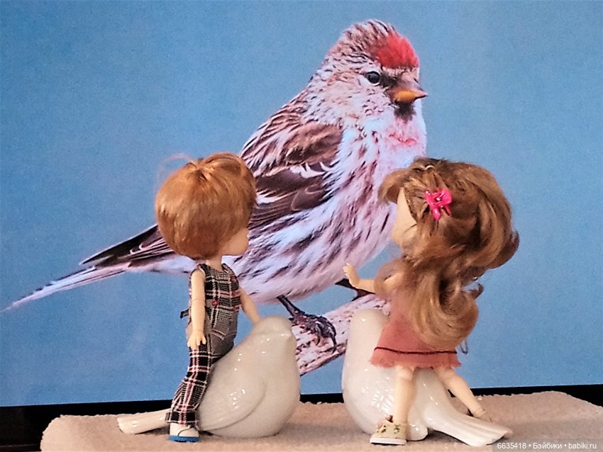 Поговорим о птицах — Красивая природа и цветы: фото пейзажей