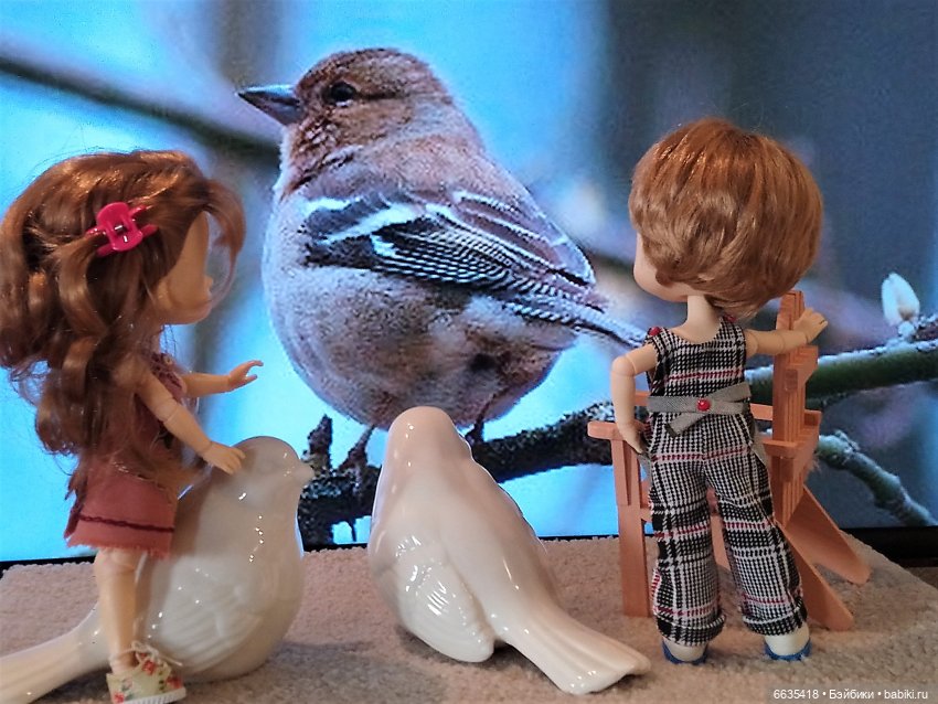 Поговорим о птицах — Красивая природа и цветы: фото пейзажей