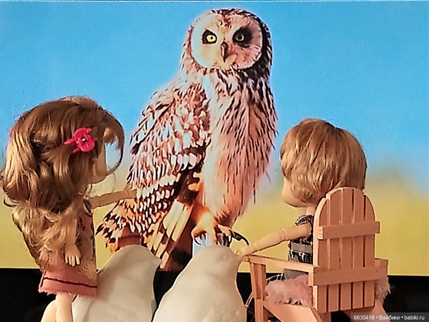 Поговорим о птицах — Красивая природа и цветы: фото пейзажей