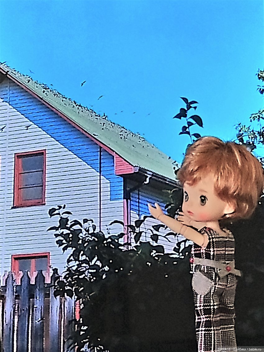 Поговорим о птицах — Красивая природа и цветы: фото пейзажей (фото 4)