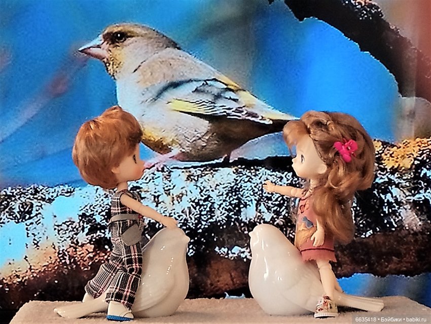 Поговорим о птицах — Красивая природа и цветы: фото пейзажей