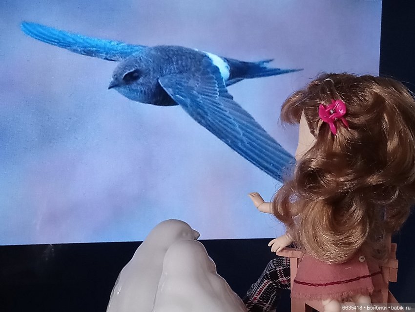 Поговорим о птицах — Красивая природа и цветы: фото пейзажей