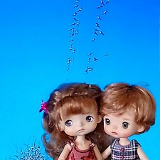 Поговорим  о птицах