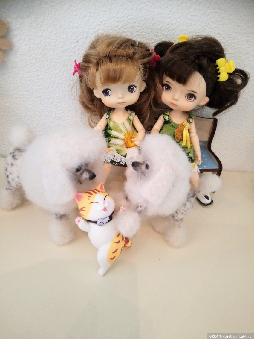 Посылка — Болталка и разговоры обо всем: жизнь