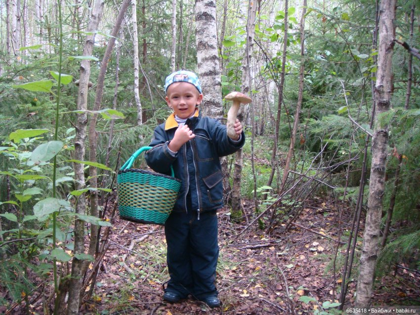 ЗДРАВСТВУЙ ОСЕНЬ — Болталка и разговоры обо всем: жизнь (фото 3)