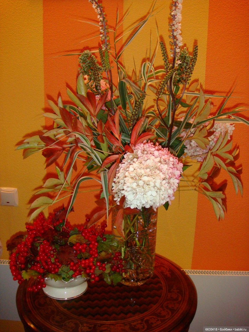 ЗДРАВСТВУЙ ОСЕНЬ — Болталка и разговоры обо всем: жизнь (фото 4)