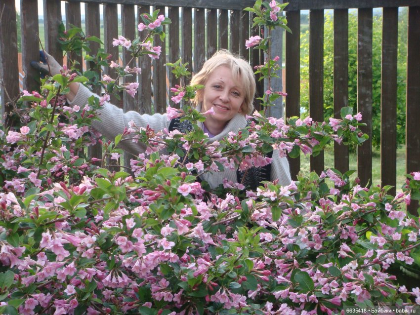 ЗДРАВСТВУЙ ОСЕНЬ — Болталка и разговоры обо всем: жизнь