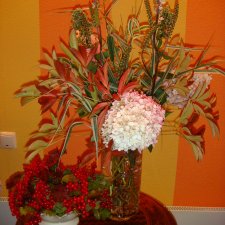 ЗДРАВСТВУЙ ОСЕНЬ