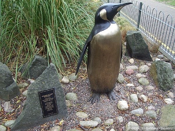 Пингвин - бригадный генерал Королевской гвардии Норвегии