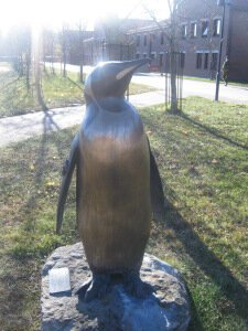 Пингвин - бригадный генерал Королевской гвардии Норвегии