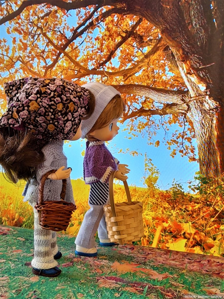 Что может быть прекраснее осеннего леса (фото 5)