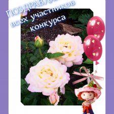 Поздравляю с завершением конкурса