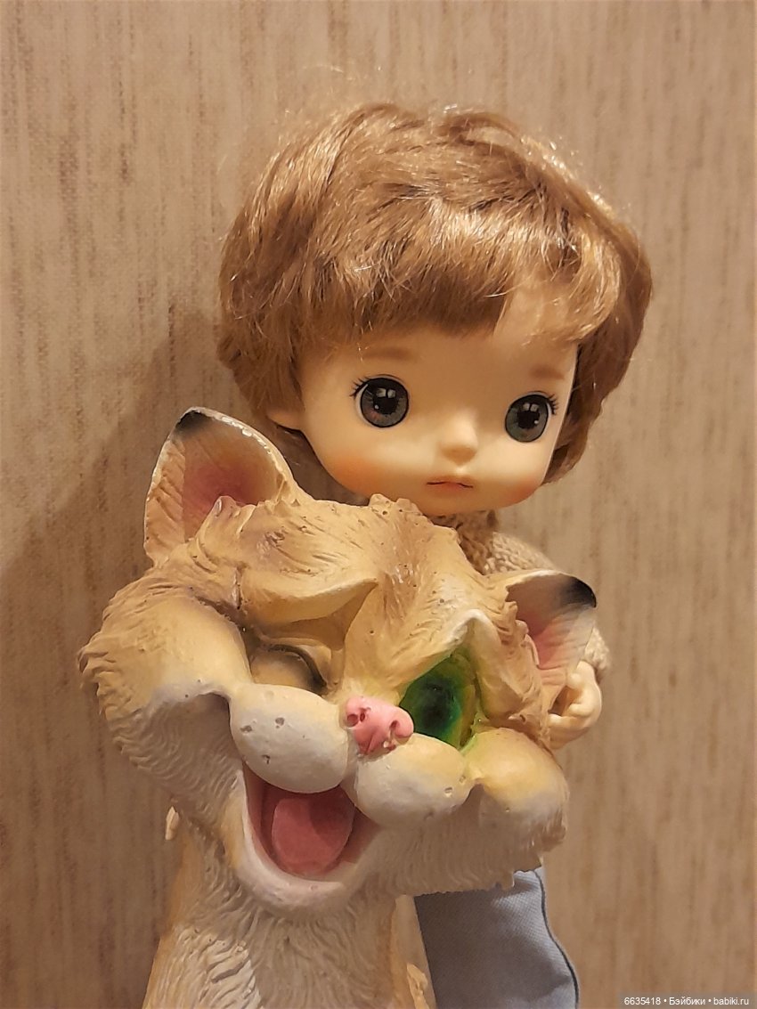 Почему так много кошек — Болталка и разговоры обо всем: жизнь