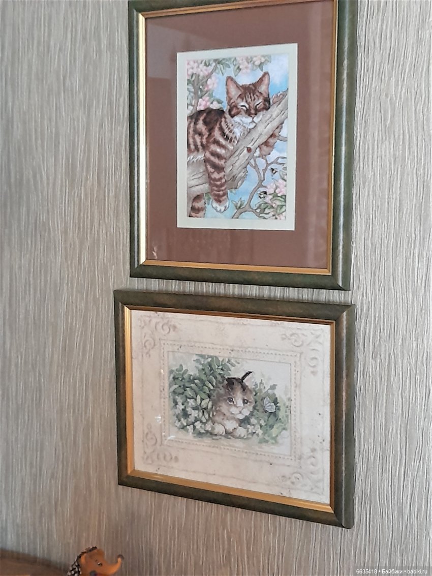 Почему так много кошек — Болталка и разговоры обо всем: жизнь (фото 5)