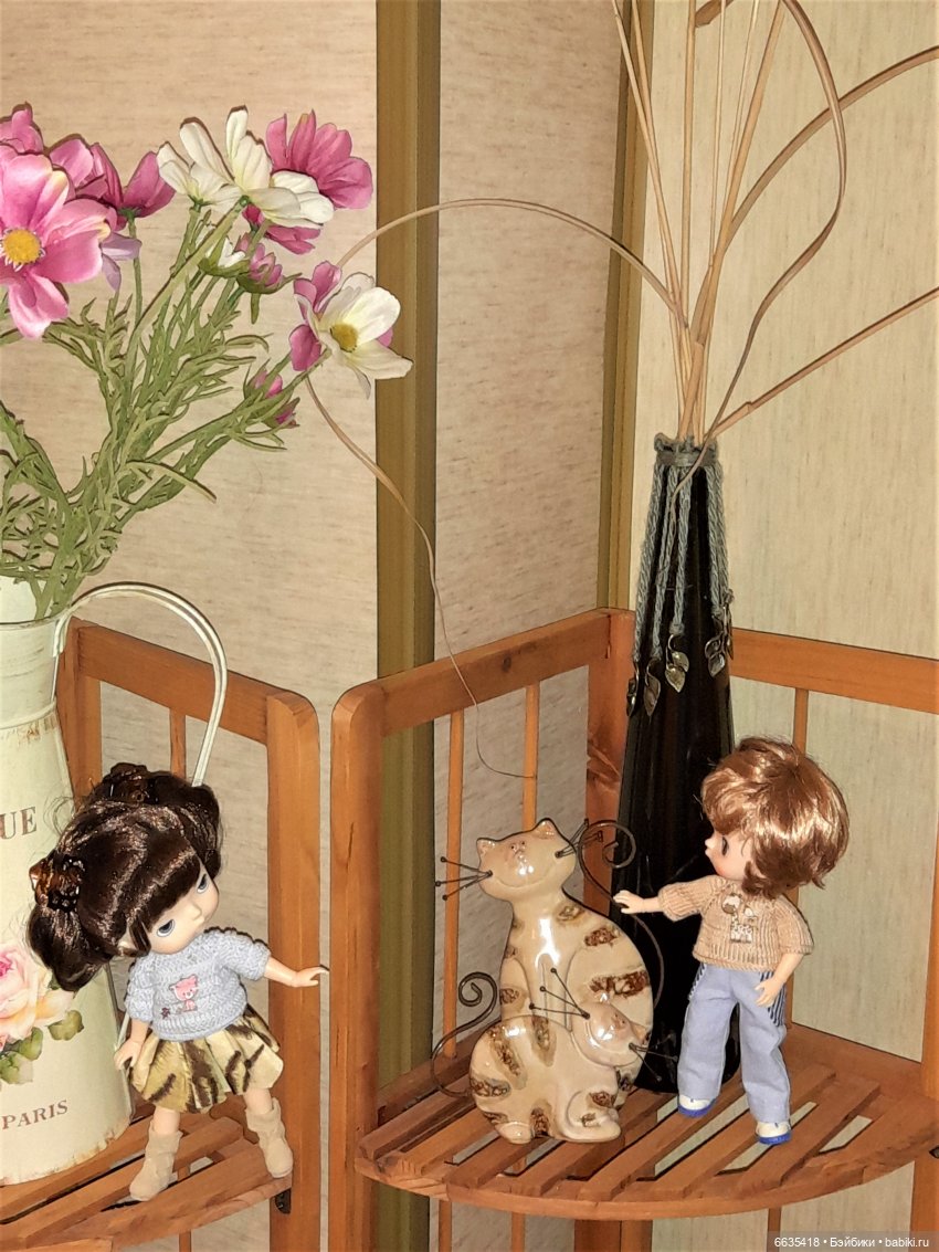 Почему так много кошек — Болталка и разговоры обо всем: жизнь