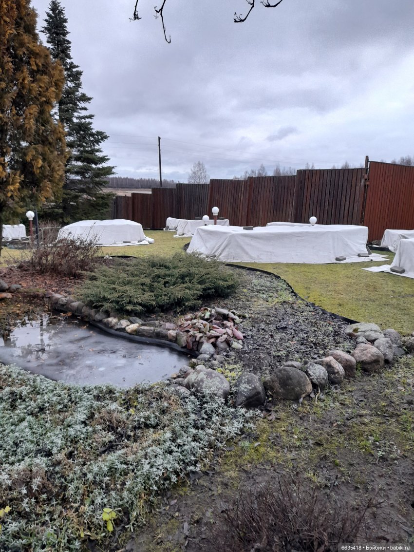 А у нас пополнение — Разные шарнирные куклы (не БЖД): редкие