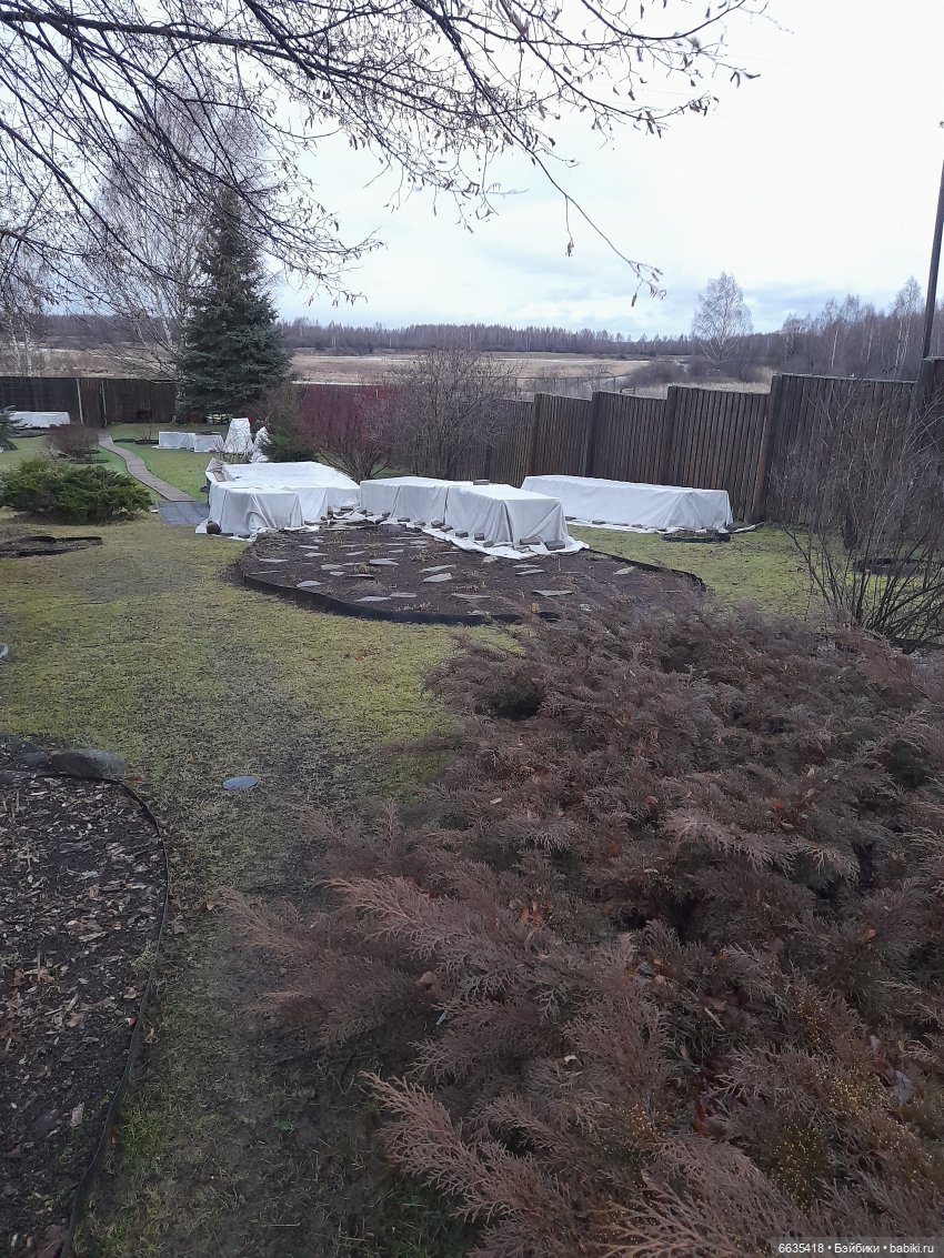 А у нас пополнение — Разные шарнирные куклы (не БЖД): редкие