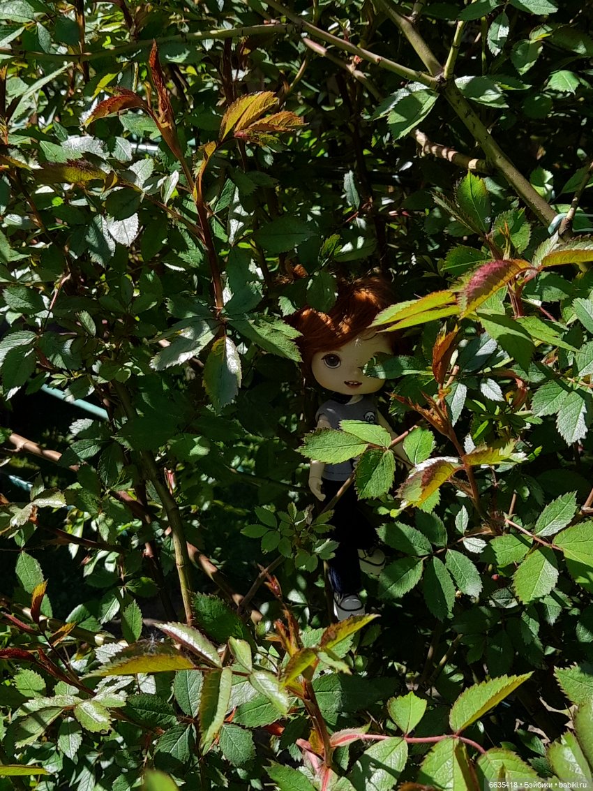 Как Антон и Филипп гуляли в саду (фото 8)