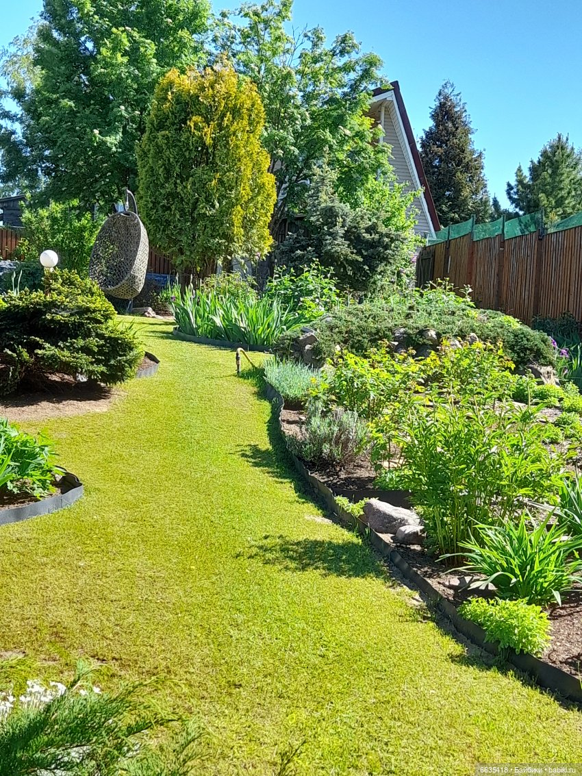 Как Антон и Филипп гуляли в саду