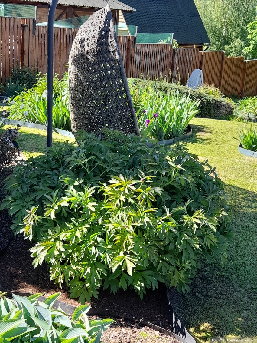 Как Антон и Филипп гуляли в саду