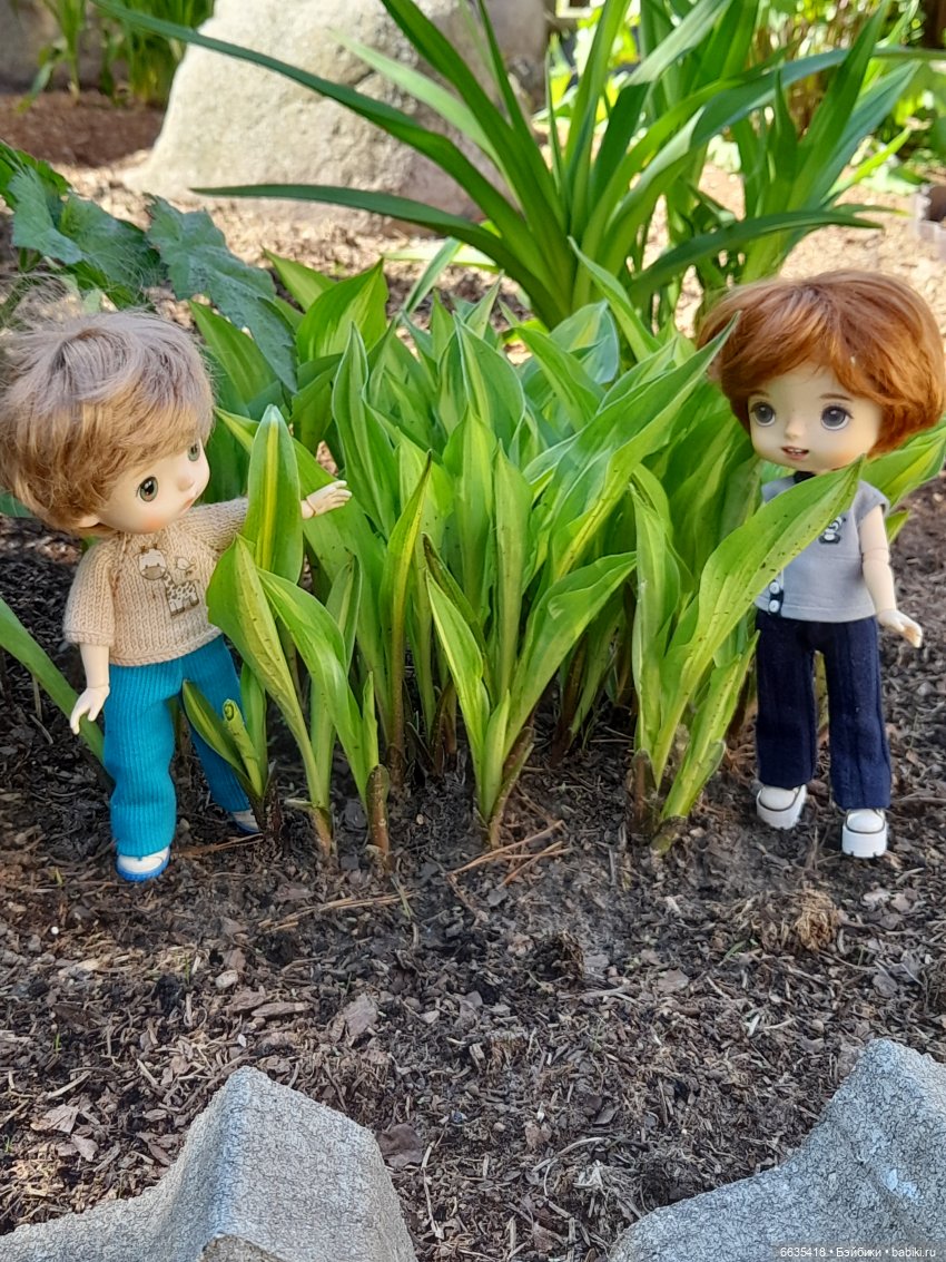 Как Антон и Филипп гуляли в саду (фото 2)