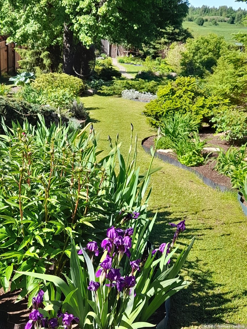 Как Антон и Филипп гуляли в саду