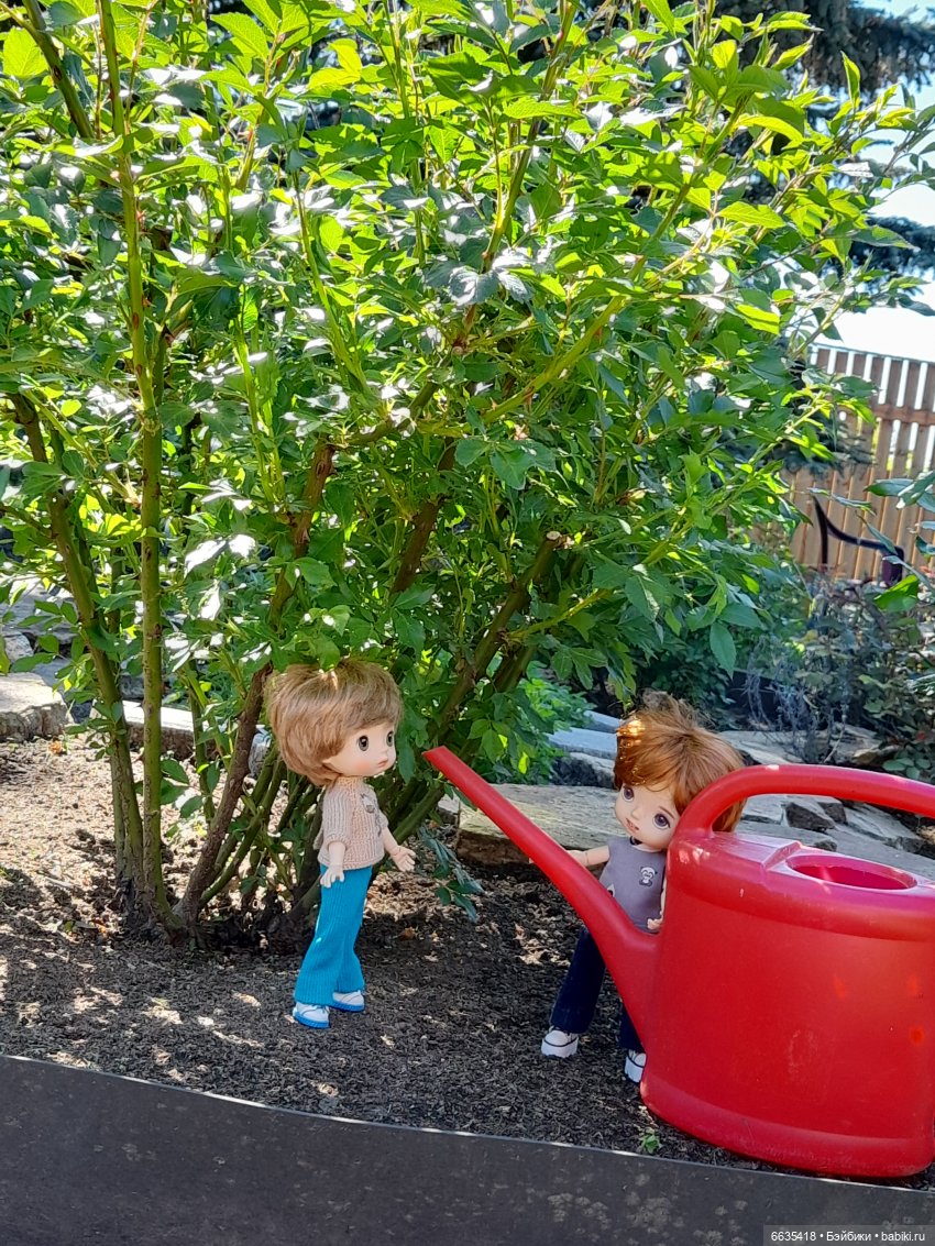 Как Антон и Филипп гуляли в саду (фото 6)