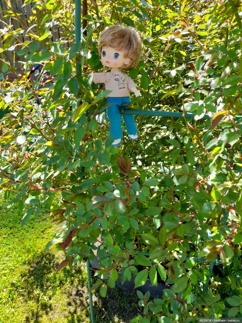 Как Антон и Филипп гуляли в саду (фото 10)