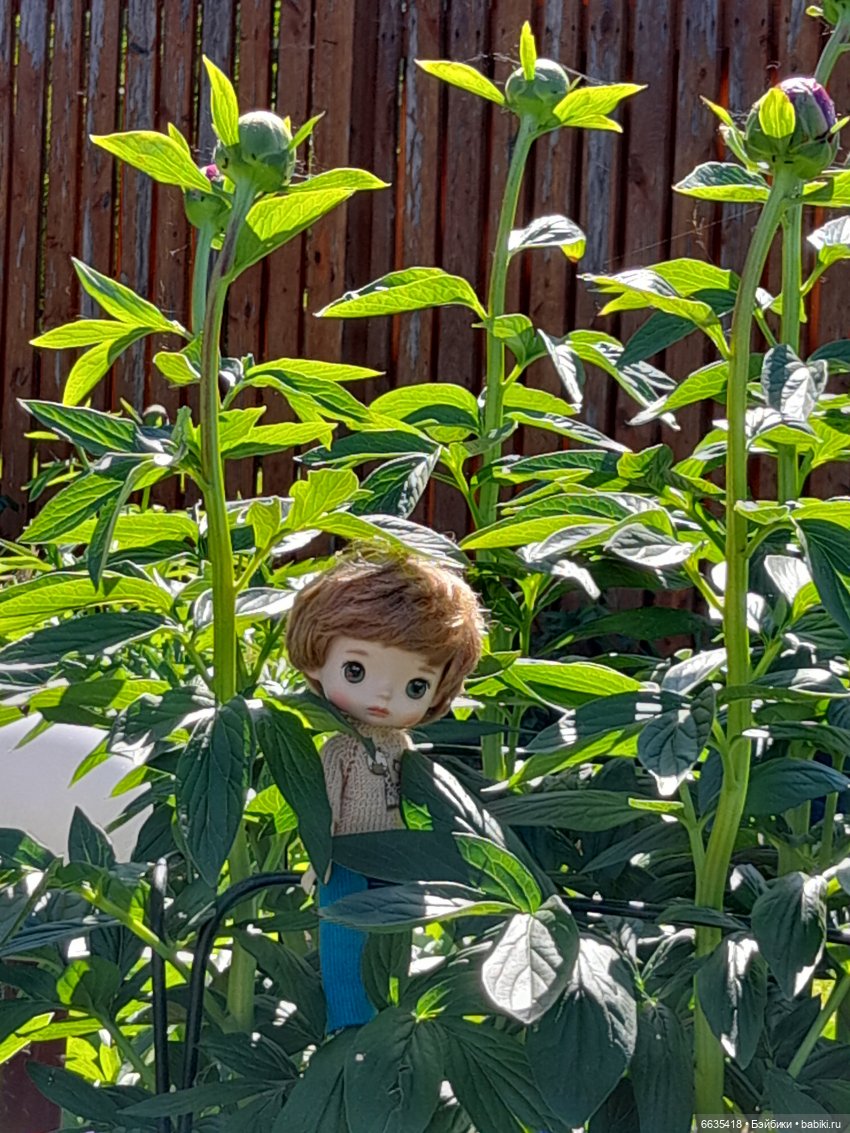 Как Антон и Филипп гуляли в саду