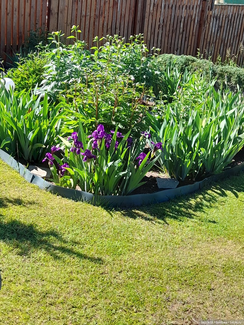 Как Антон и Филипп гуляли в саду