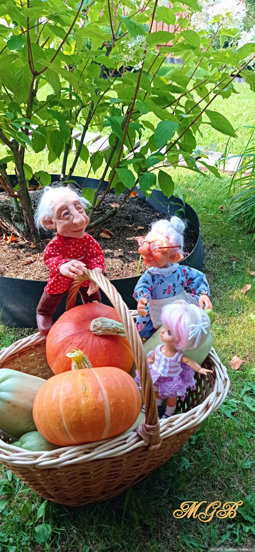 Сюжет одного летнего дня. Часть 1 «Кабачки, тыква и наша дружная команда»