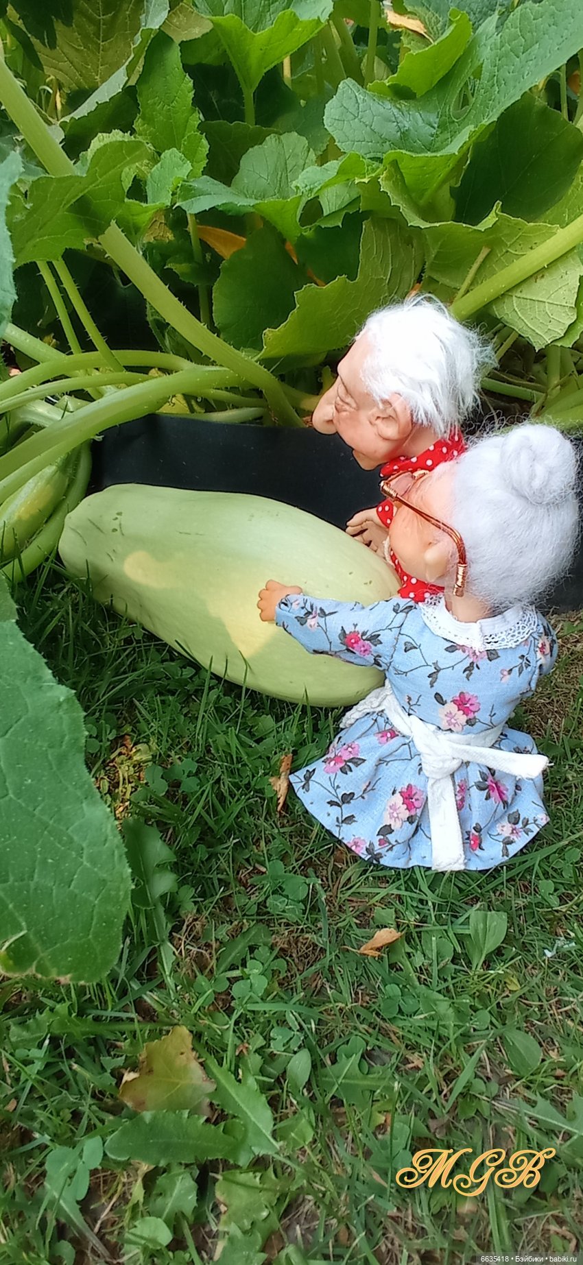 Сюжет одного летнего дня. Часть 1 «Кабачки, тыква и наша дружная команда»